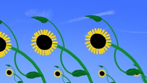 tournesol
